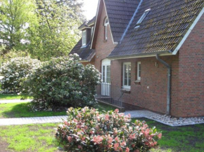 Duenem-Kniep-OG-re
